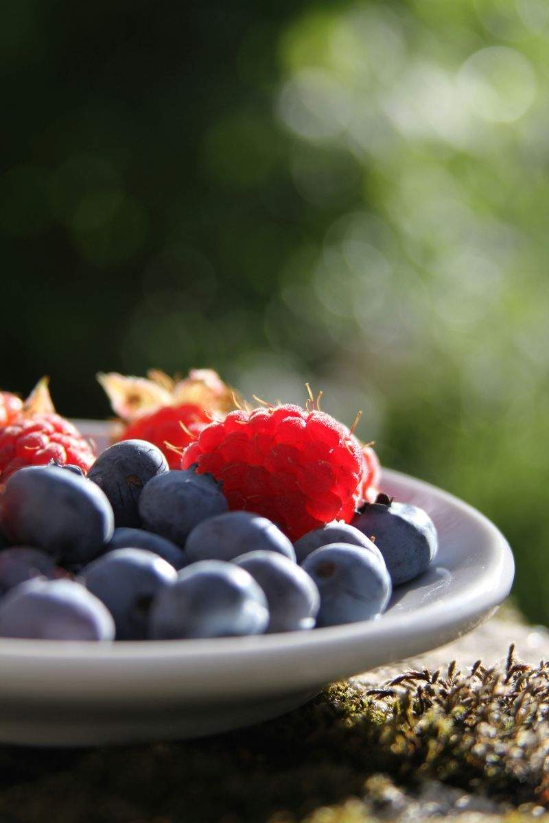 Catering-palvelut